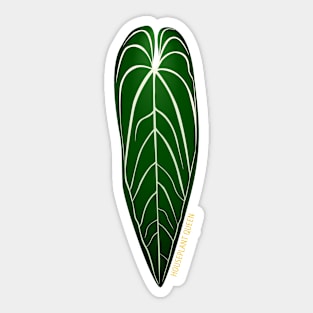 Anthurium warocqueanum | Houseplant Queen Sticker